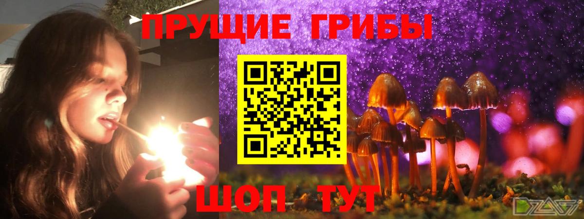 Новоалександровск  Псилоцибиновые грибы Magic Shrooms  Вход с VPN  Галлюциногенные грибы мухоморы 