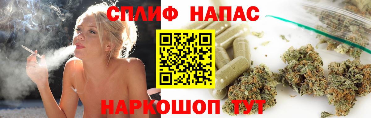 Конопля ГИДРОПОН Новоалександровск